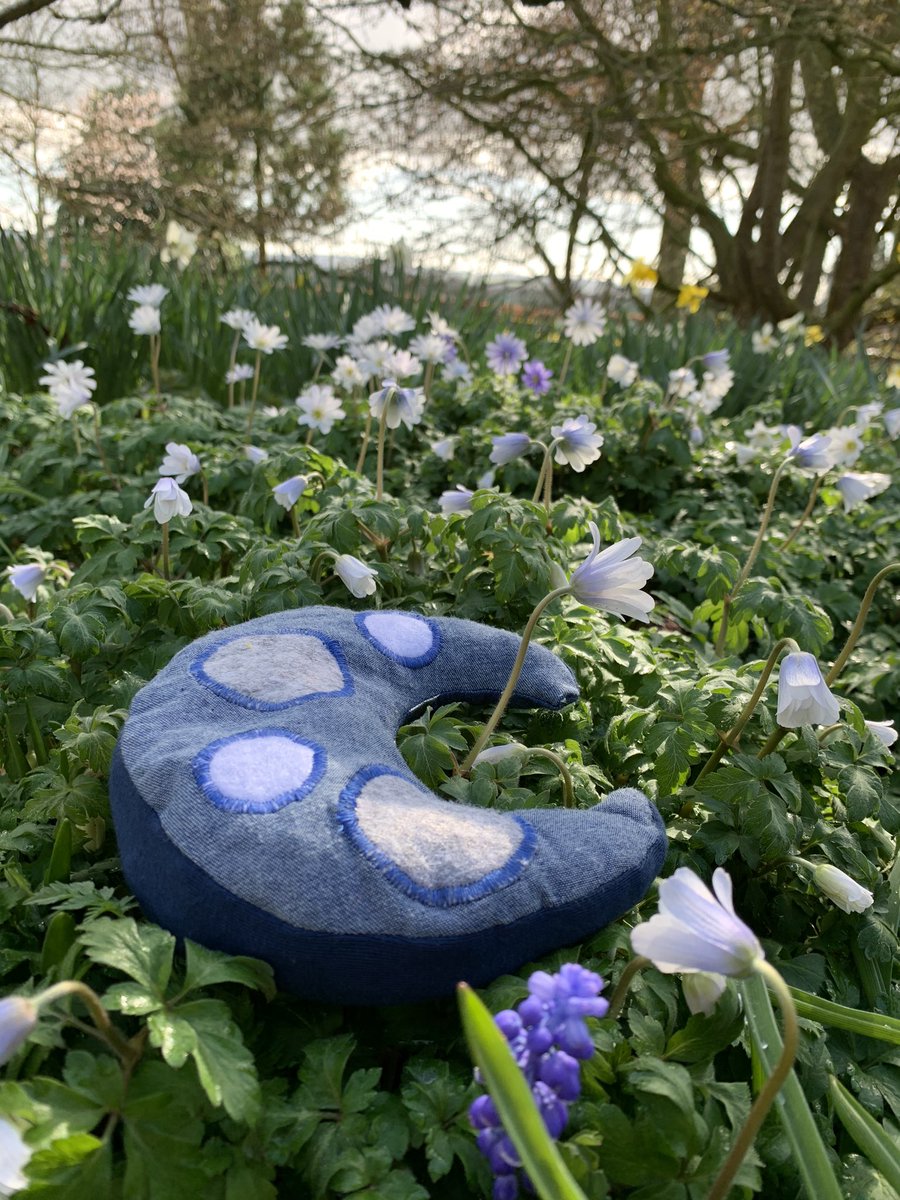 HuddleCuddle_YE's tweet photo. Introducing... Luna! Your loveable, laidback and loyal companion for night time with calming textures to send you to sleep! We are so glad you can finally meet them!💛
#youngenterprise #huddlecuddleagc #youngenterprise2020 #autismawareness https://t.co/iXyXjhmR3w