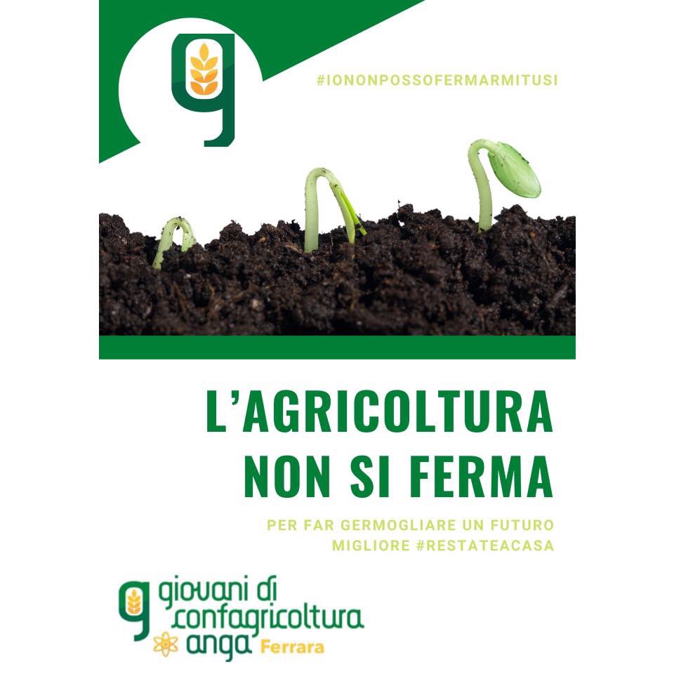 AngaFerrara's tweet photo. L’agricoltura non si ferma tu si ! #restateacasa #anga #angaferrara #confagricoltura #giovanidiconfagricoltura #coltiviamocapolavori #COVID19 https://t.co/uk9MND6JH8