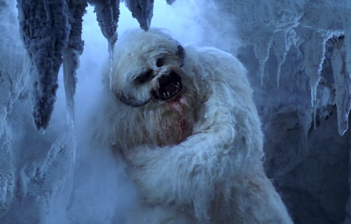Jacontro, humiliated and half-frozen, returned to the empty Lodge... and that's when a wampa busted right through the wall.Midnight and Jacontro survived the encounter thanks to Tibbs returning just in time. And that's when Midnight knew he would never be bored at work...