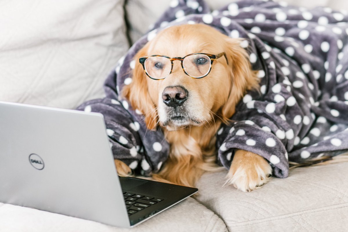 Per your last email, Karen ... #workingfromhome