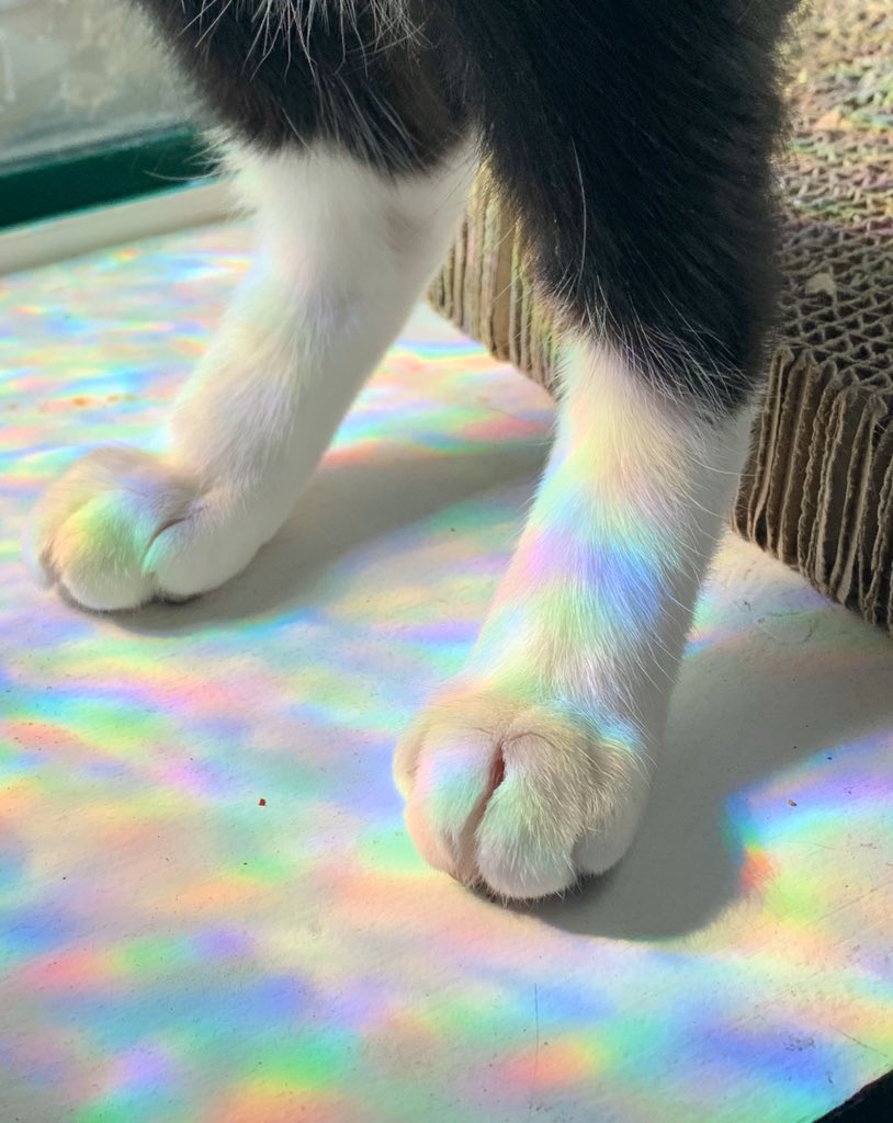 Jodelle Ferland tweet media