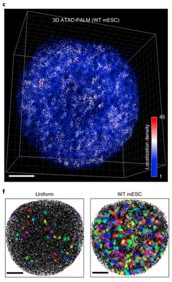 Nature Methods tweet media