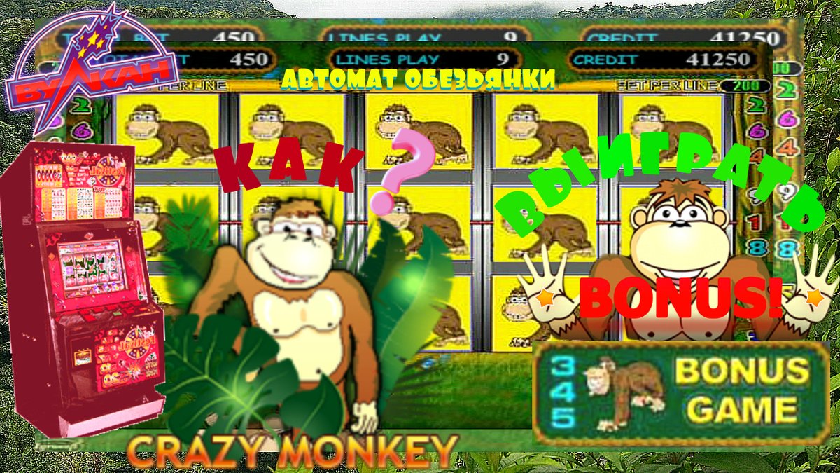 как выигрывать в игровых автоматах с обезьянками