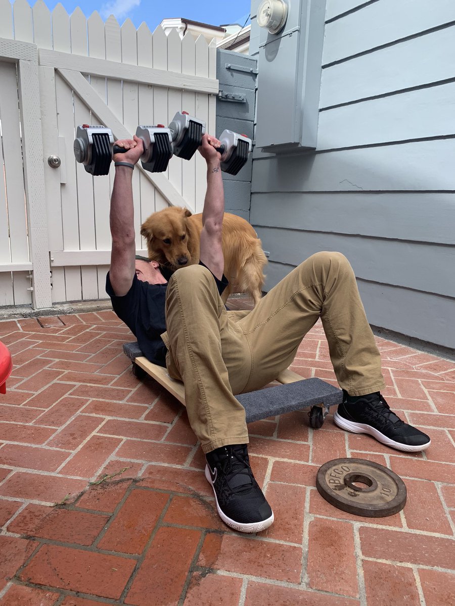 Mitchell Tolman tweet media