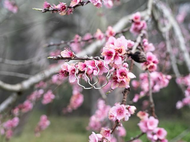 We are closing our Crosby street store for the upcoming week to assist in NYC’s efforts to contain the spread COVID-19.

Our website is open 24/7 and has plenty of social distancing!

Please email info@jillplatner.com with any special requests and we’ll … bit.ly/3b1SE7Y