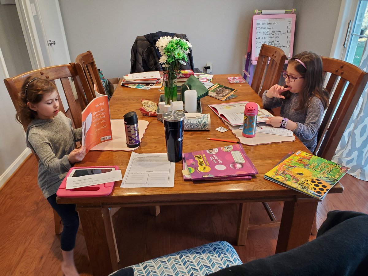 HeatherSegredo's tweet photo. May not being teaching my tigers today but homeschooling my wildcats. We did our work and then had DEAR time. https://t.co/O9Nwe6QOer