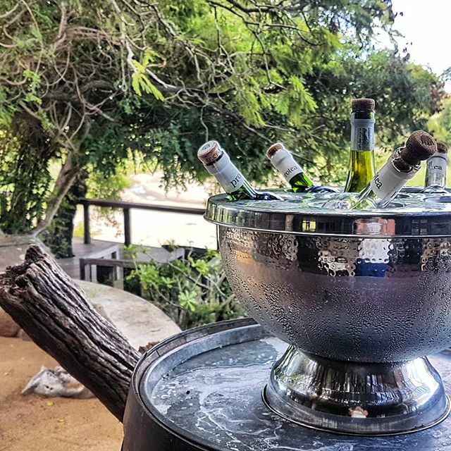 Nothing better than a chilled glass of Chardonnay... <a href="/jocksafari/">Jock Safari Lodge</a> 🥂🥂
.
#jocksafarilodge #KrugerNationalPark #safari #luxurytravel #experienceluxurytravel #traveljourneys #wine #bushlodge