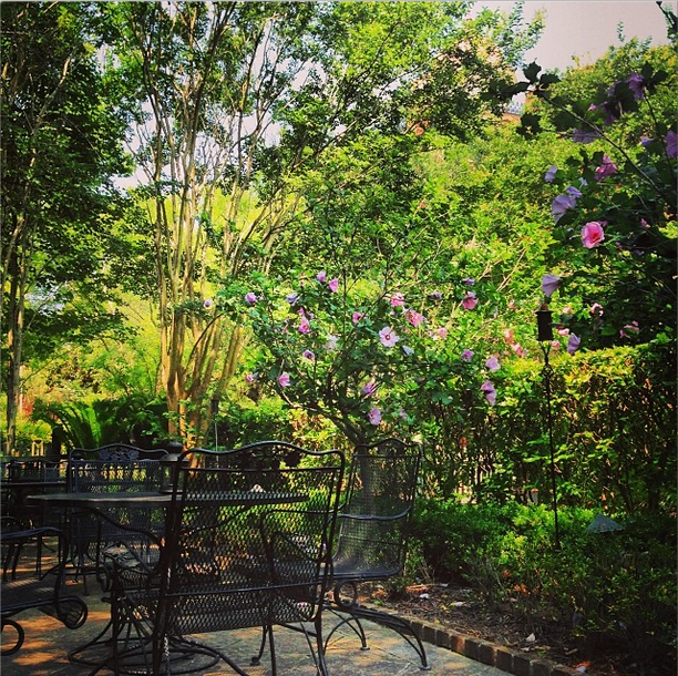 Circa 1886 will remain open for normal business hours and continue to serve delicious food with incredible hospitality. We appreciate your support and are committed to our staff, families and Charleston community.