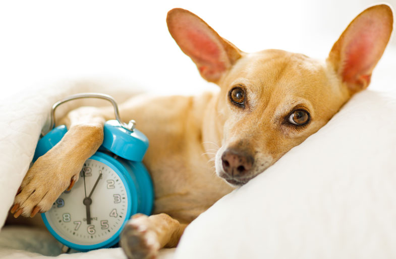 VirginiaVcloud's tweet image. Do you know what the differences between the different #mortgage terms are? Learn more about them here. #hometips  cpix.me/a/93781999