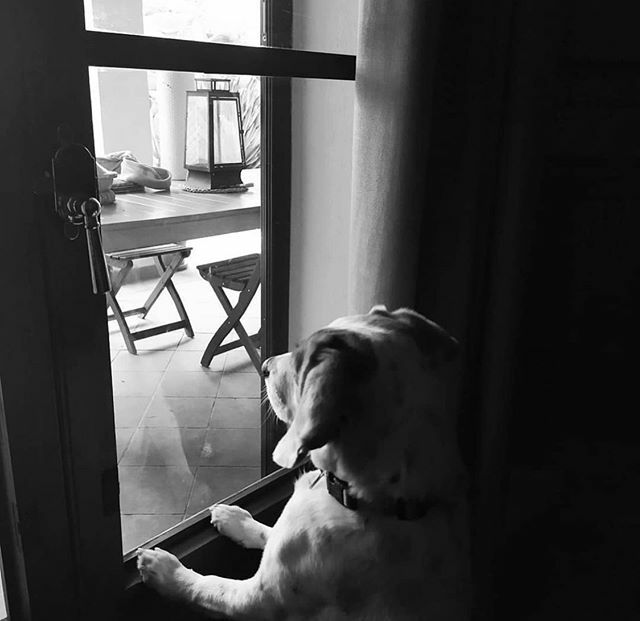 Arrancamos un concurso a nivel nacional con nuestros compañeros de @igers_mallorca 
Os animamos a etiquetar vuestras fotos desde casa con el hashtag #igersDesdeMiVentana
Si llegamos a 500 fotos etiquetadas lanzamos un concurso!! Animo a todos! 
La foto d… ift.tt/38YjqN8