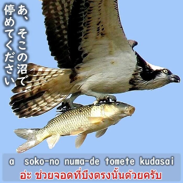 คุณจุ้ม🥫 tweet media