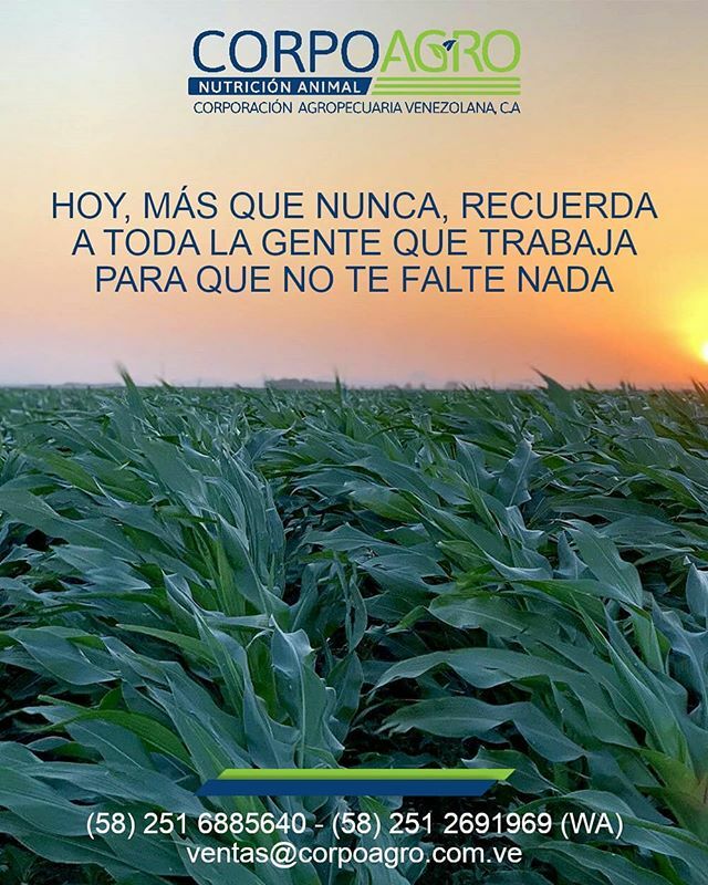 CorpoAgro's tweet photo. En CorpoAgro agradecemos a todos nuestros proveedores,  los productores agrícolas; a los transportistas,  a los encargados de atención al cliente y todos los que hacen posible que, ante estos tiempos delicados, se mantenga activa la economía e infraestru… https://t.co/97ZWIf9fc0 https://t.co/7VRt7SkjXO