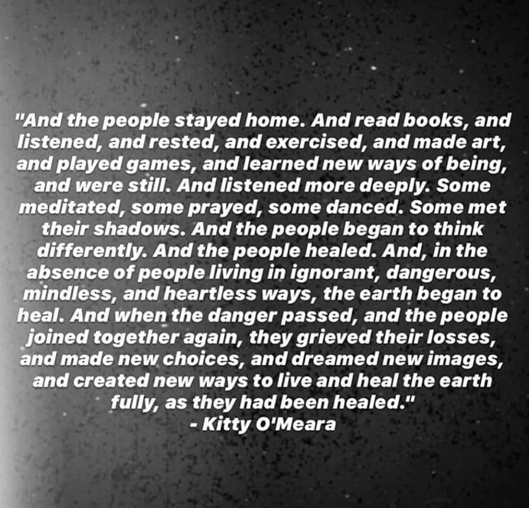 Kamil Erdem (@erdemkamil) on Twitter photo 