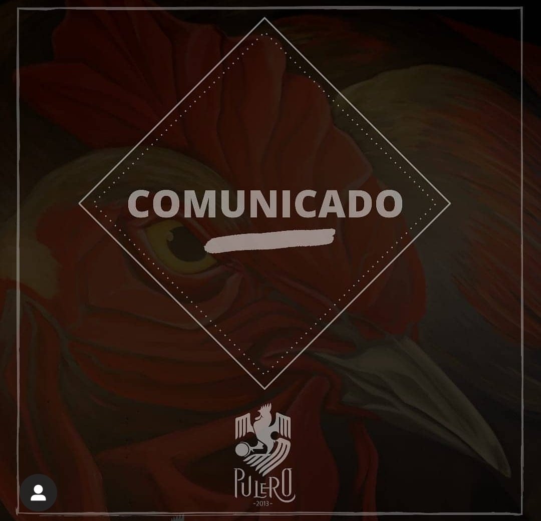 Fala Galo | Notícias do Atlético tweet media