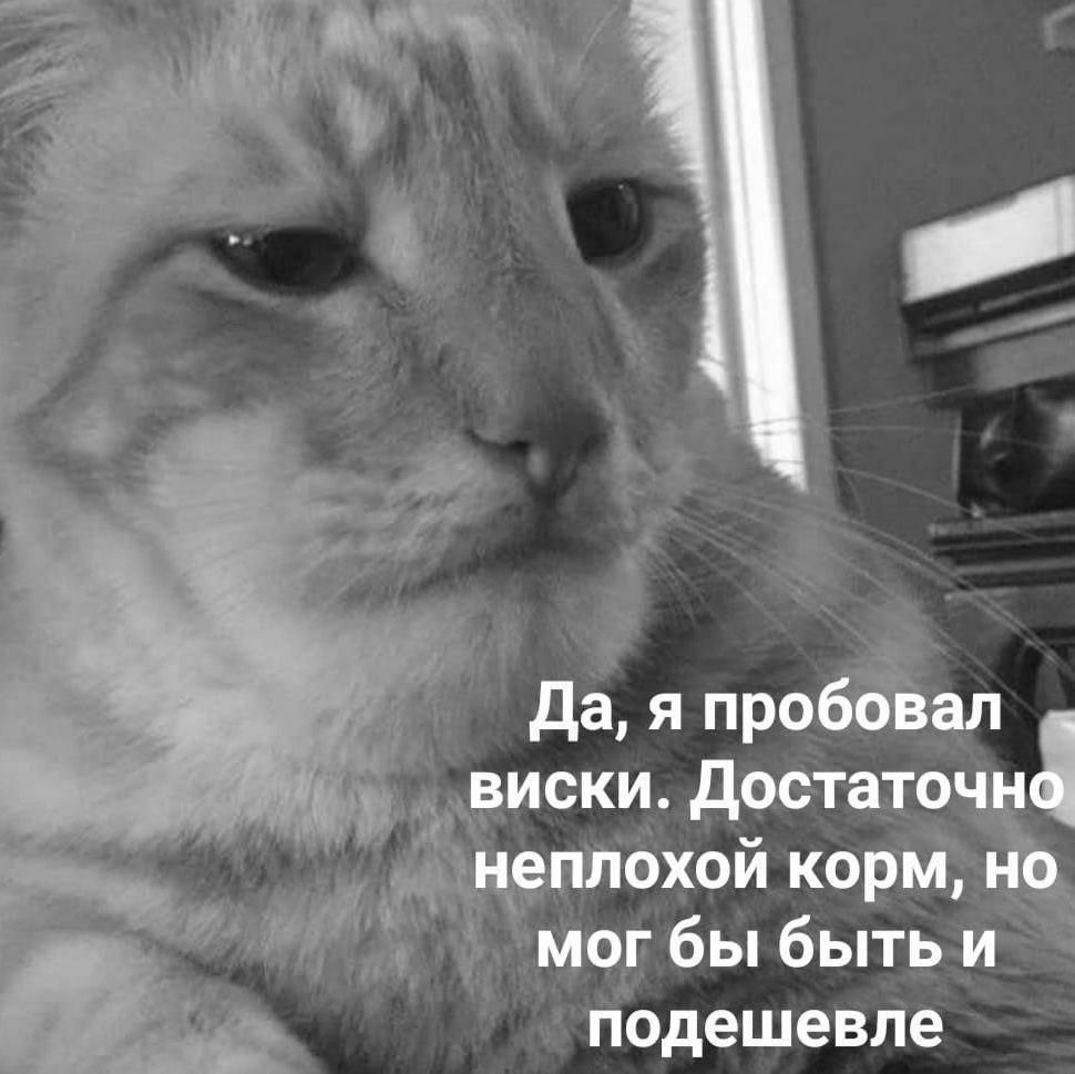 Довольно такие не плохо. Неплохо мем. Раньше было лучше комикс. Достаточно неплохо. Уволиться хотелось всего три.