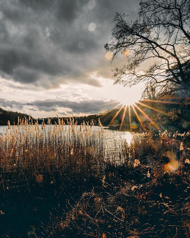 Peaceful spots in Berlin ... #canondeutschland #berlin#peaceful #naturephotography ift.tt/2vnwTjQ