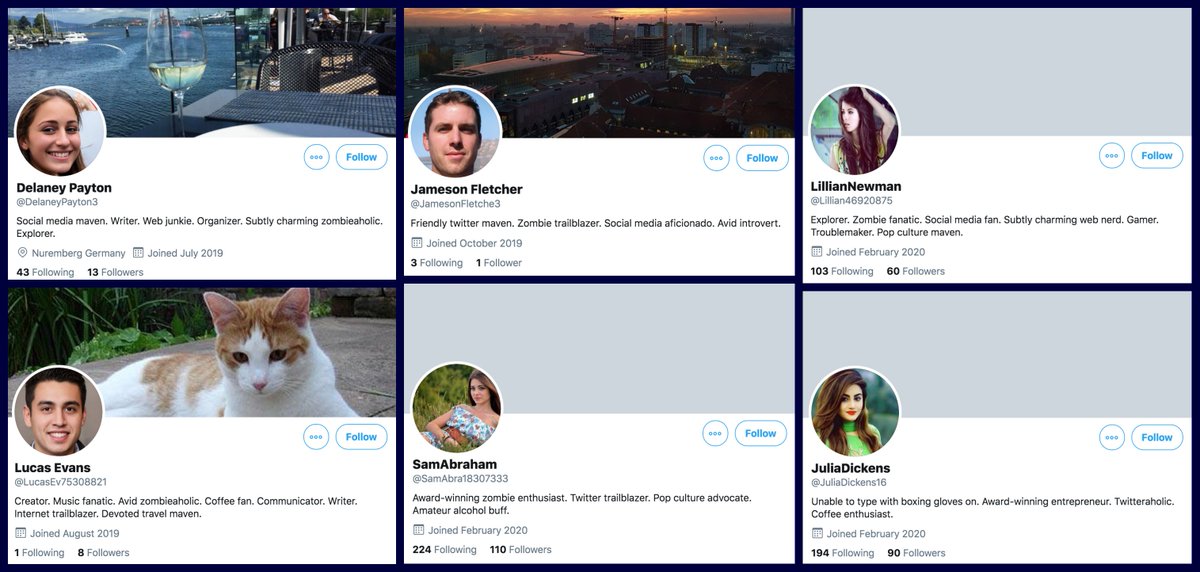 If you're the sort of person who likes to get their news about pandemics from automated award-winning zombie enthusiasts, these are the bots for you.  #MondayMotivationcc:  @ZellaQuixote