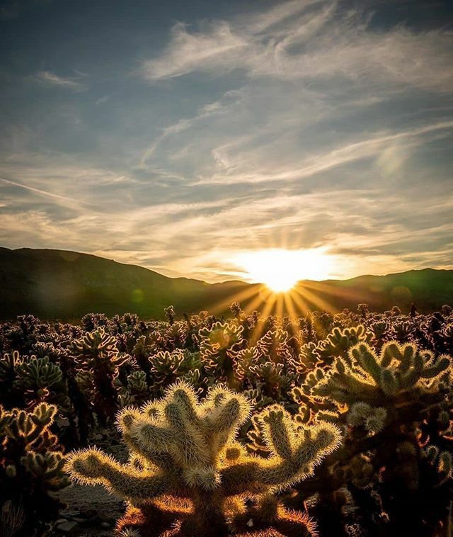 ExploredCo tweet media