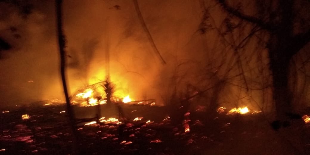 BomberosCaucas1's tweet photo. Se atiende Incendio forestal en el km 2 variante nueva sector la trampa . Servir a la #comunidad es nuestra #prioridad #CBVC @DNBomberosCol @CITELDNBC https://t.co/YbSpBRuv8j