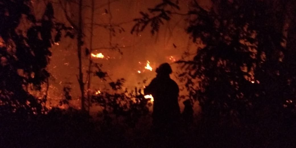 BomberosCaucas1's tweet photo. Se atiende Incendio forestal en el km 2 variante nueva sector la trampa . Servir a la #comunidad es nuestra #prioridad #CBVC @DNBomberosCol @CITELDNBC https://t.co/YbSpBRuv8j