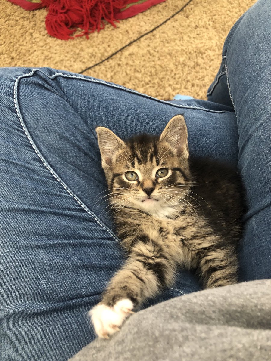 Fishrl's tweet image. ⁦@andylassner⁩