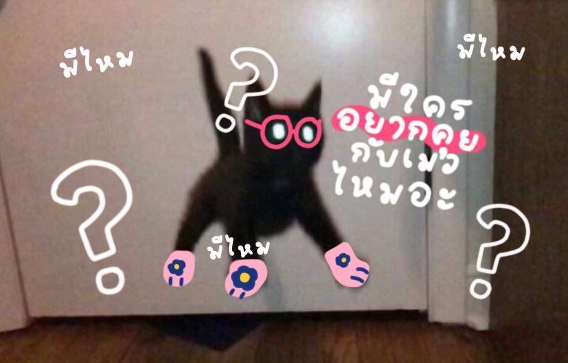 พิเมวย้ายแอค tweet media