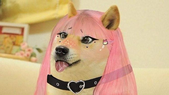 I colored my hair pink to match this e-girl doge meme 😅💕 https://t.co/aPtSKkGPEO<a href="/tag/bbtag"class="tags"><span>#bbtag</span></a>
