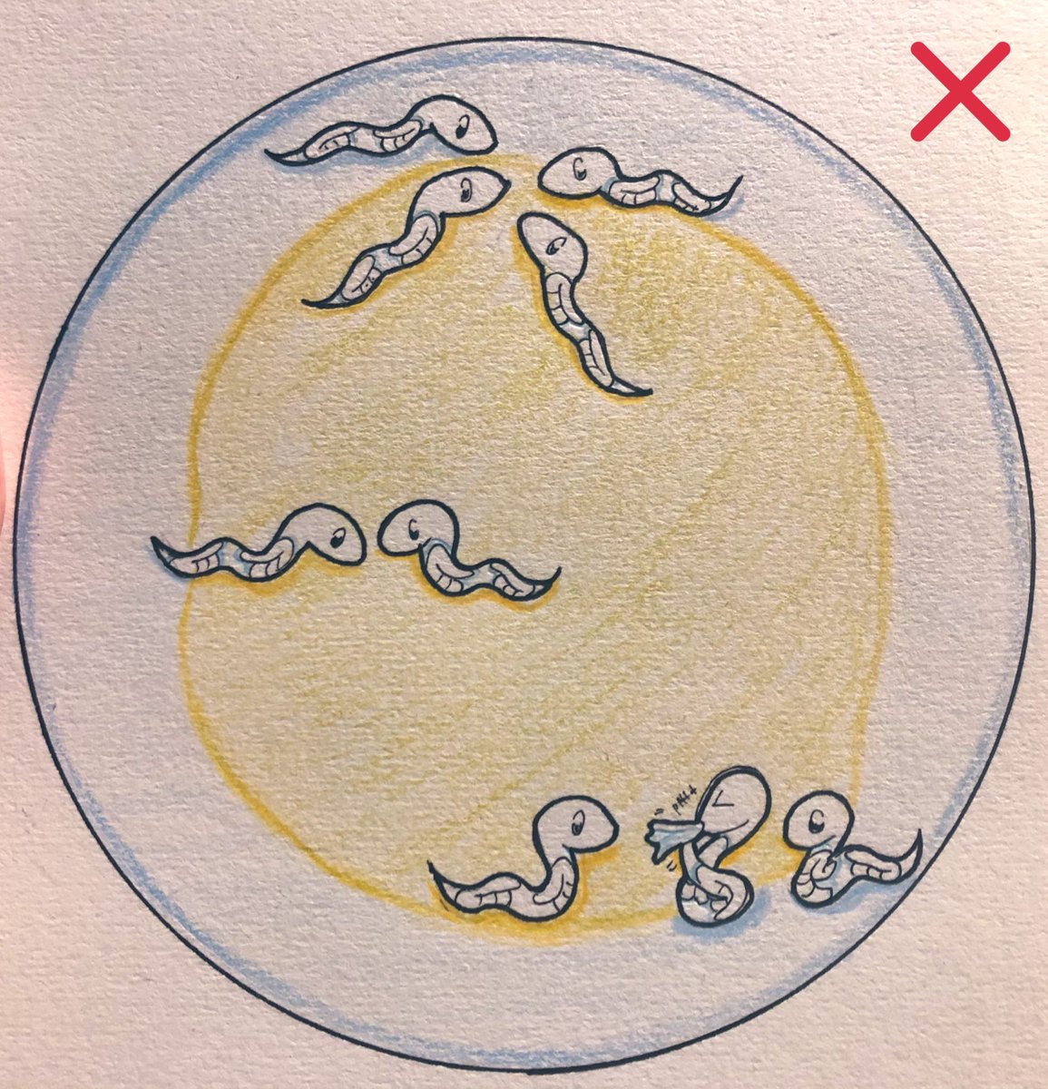 ellie_elegans's tweet photo. In this time of caution remember to practice “social distancing”, and leave at least 6 mm distance at all times! Let’s look out for one another and keep safe out there. https://t.co/eO3psLjdZf