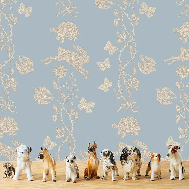 PATCHNYCSHOP's tweet photo. Dogs &amp; turtles &amp; hares. The enchanting Fable pattern featuring art by @doncarneyart from our new wallpaper collection with @hyggeandwest . Here in taupe &amp; cream art on a mist ground. See the full collection online. #patchnyc #hyggeandwest #patchnycxhygge… https://t.co/tZJPdim5lC https://t.co/EjYACSLR06