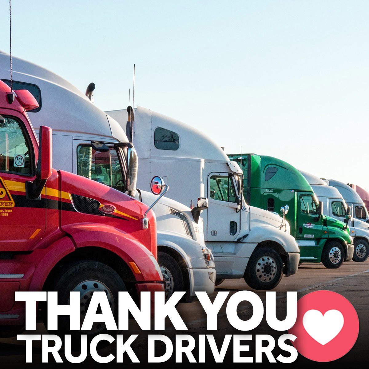 mrsmolescroft's tweet image. 