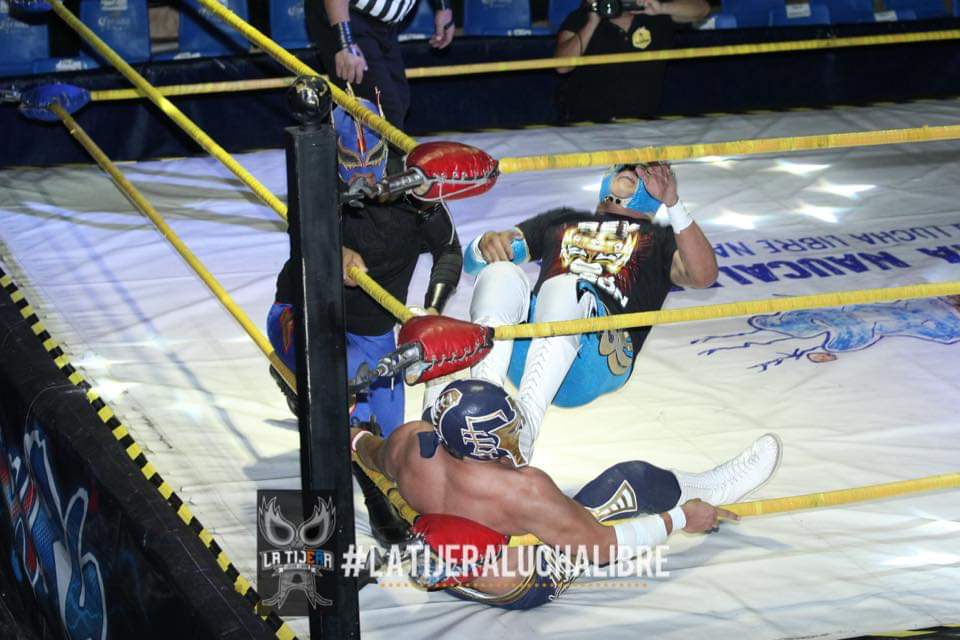 LaTijeraLucha's tweet photo. En buena segunda contienda en la #ArenaNaucalpan, el triunfo es para la pareja de #NezaKidJr &amp; #ReyHalconJr ante #ShadowBoy &amp; #Legendario; al aguantar dos severos castigos y sorprender a sus rivales con un par de desnucadora.
#latijeraluchalibre https://t.co/wJkRURxj1J