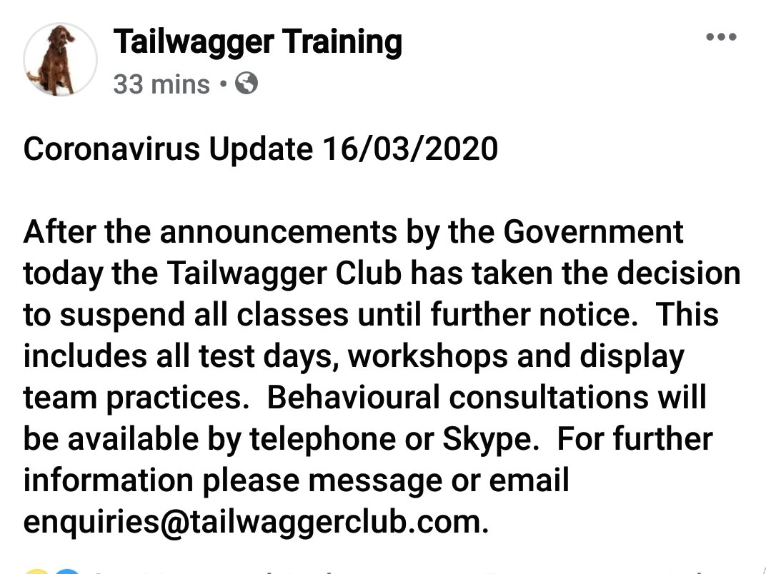 DogDisplay's tweet photo. To keep you all updated... https://t.co/4alVX1EhQh