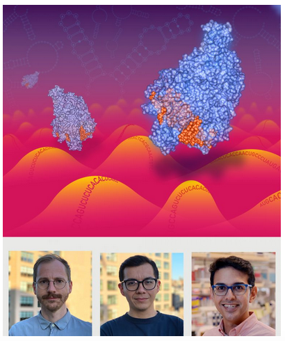 New genetic screening platform using CRISPR technology for targeting thousands of genes in a massively-parallel fashion #NBTintheNews nygenome.org/news/new-genet…