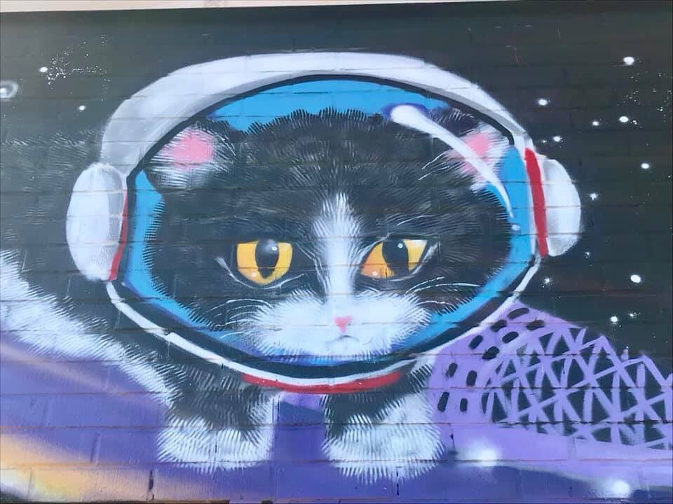 NOLA Comedy Hour tweet media