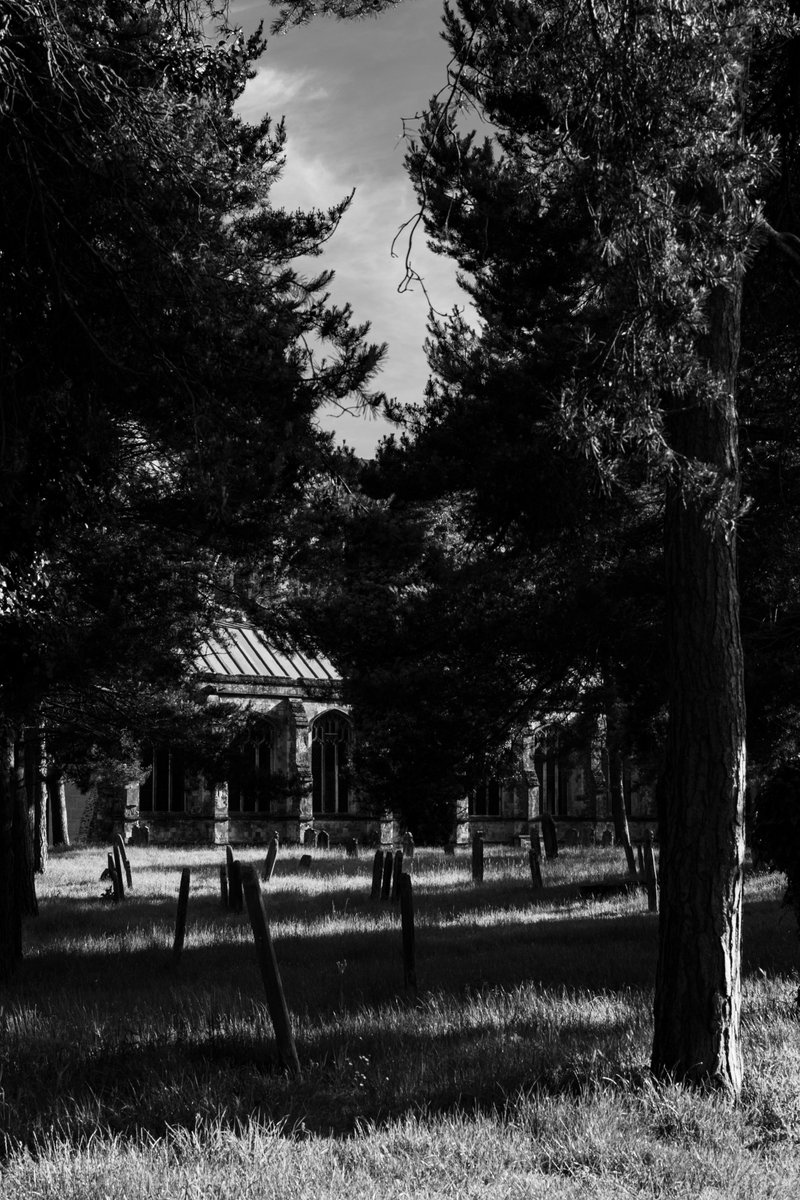 Alexis Grimshaw tweet media