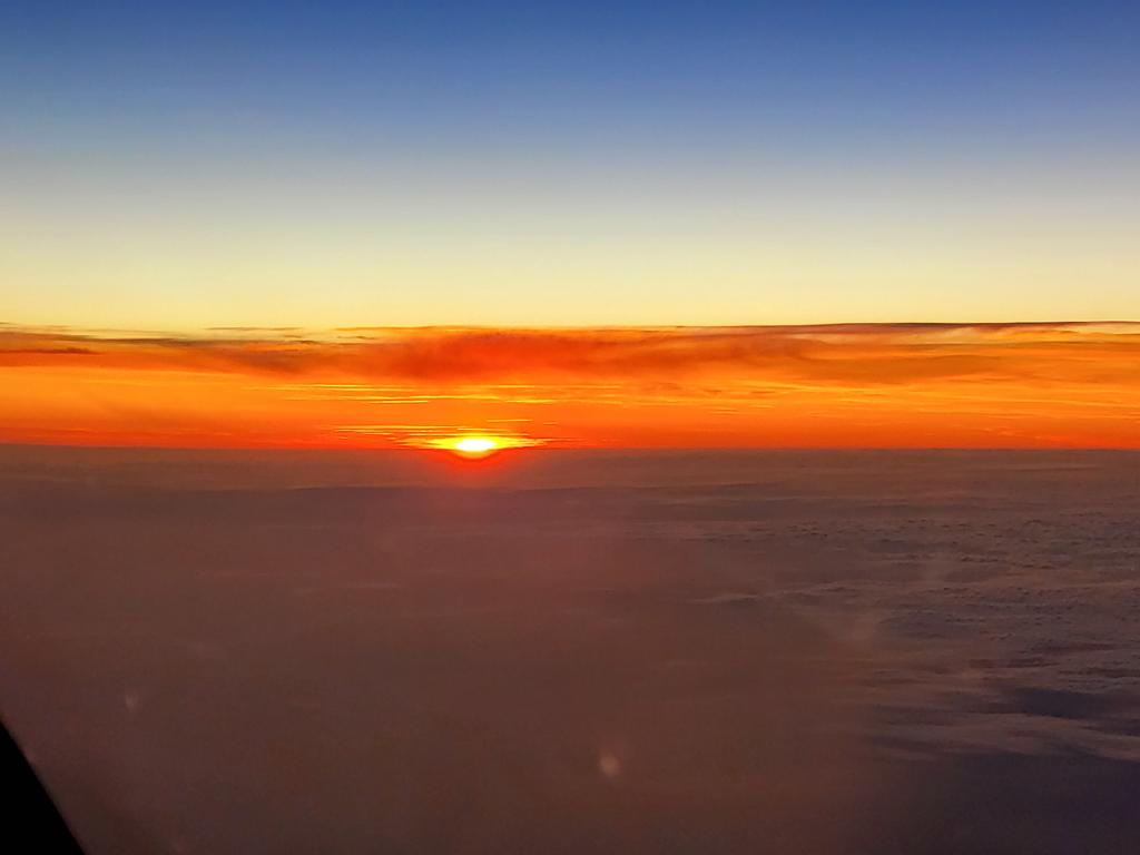 ND_guy's tweet image. 