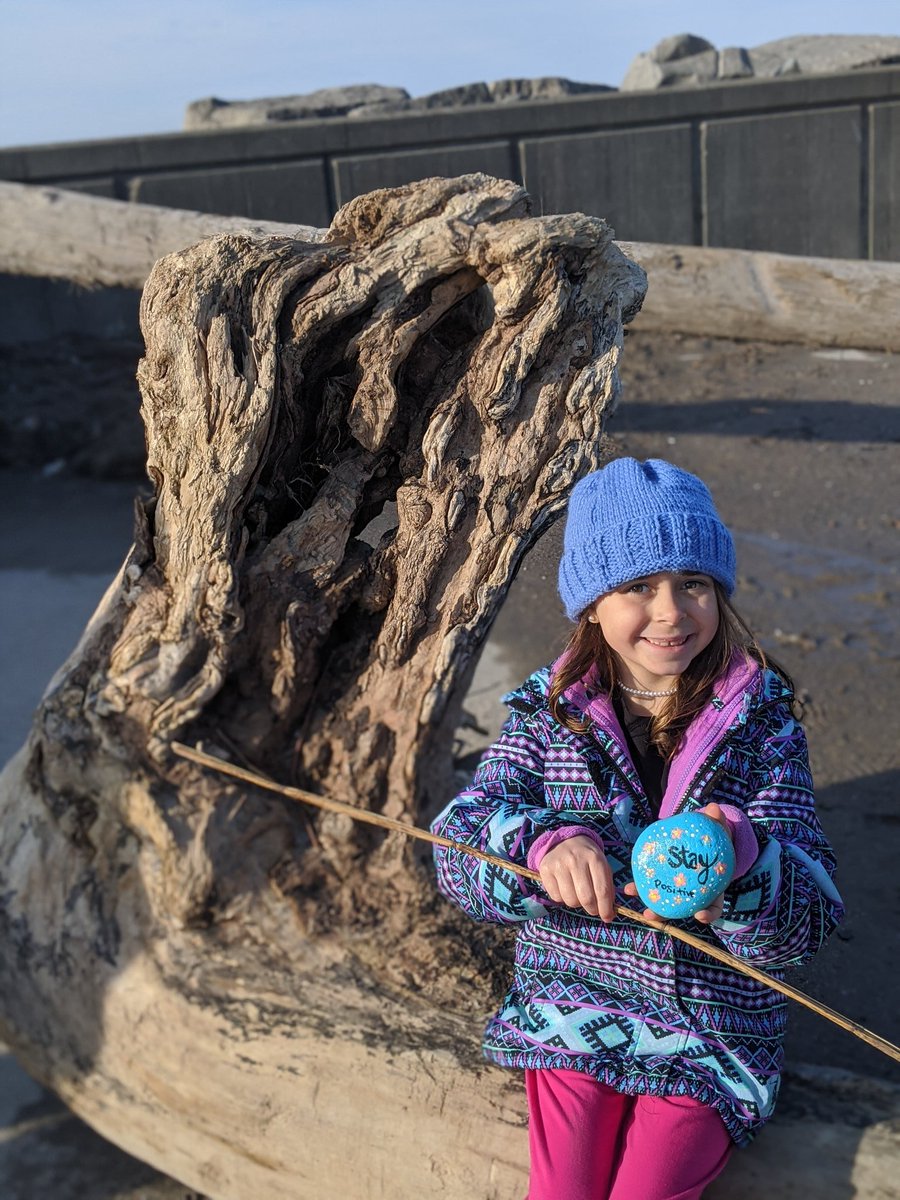 StemValue's tweet image. Today they closed my school, closed pretty much all businesses, and then walking on the shores of Lake Erie my daughter found this #buffalorock from with message "Stay Positive." It was perfect. Stay positive folks during this #coronavirus scare.