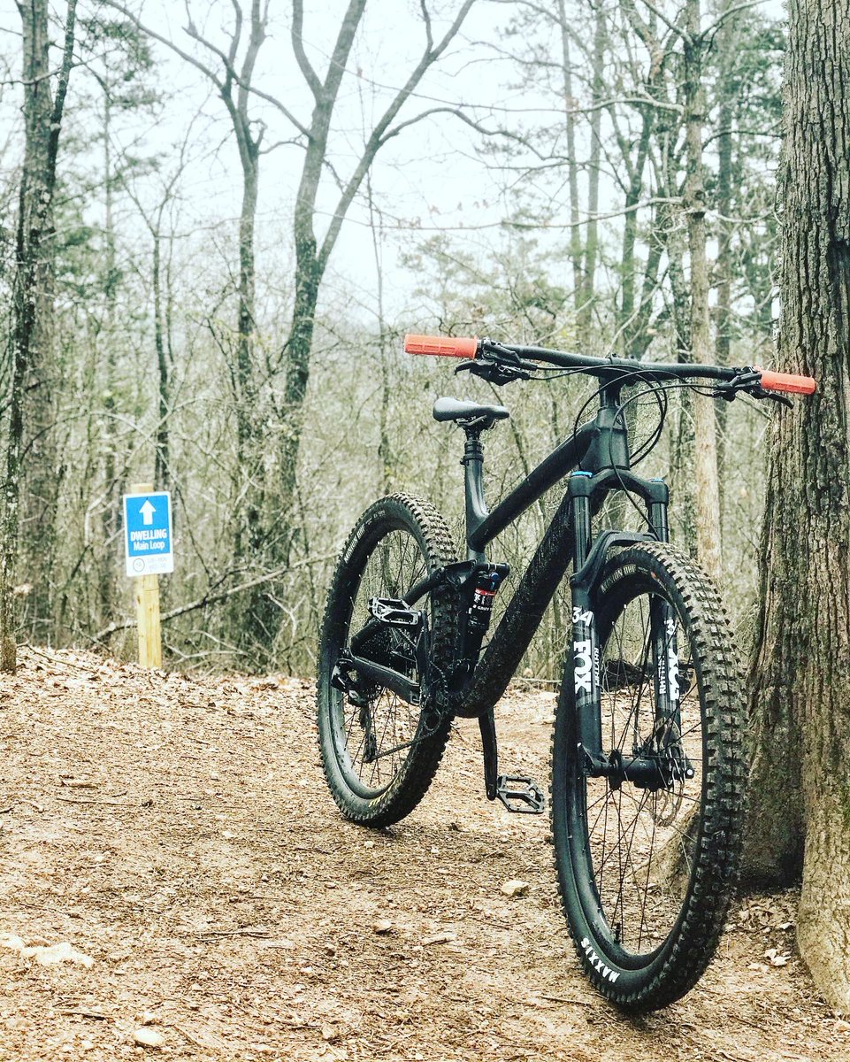 Griff Tatum tweet media