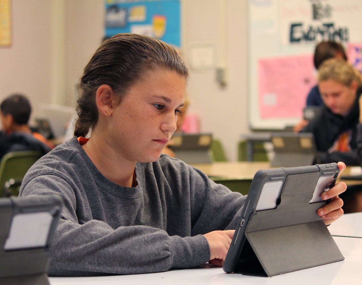 Technology in the classroom and at home now, helps form digital literacy in our students for the future!

#lakeside #lsusd #lakesideunion #education #technology #classroomtech #tablets #educationaltech #digitallitteracy