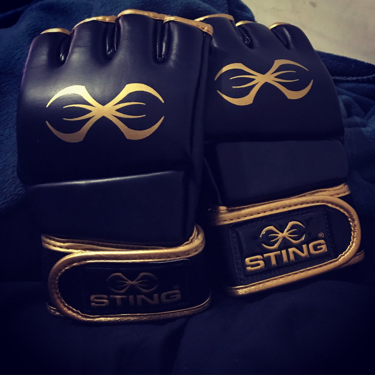 lowie91's tweet image. #ufctraining