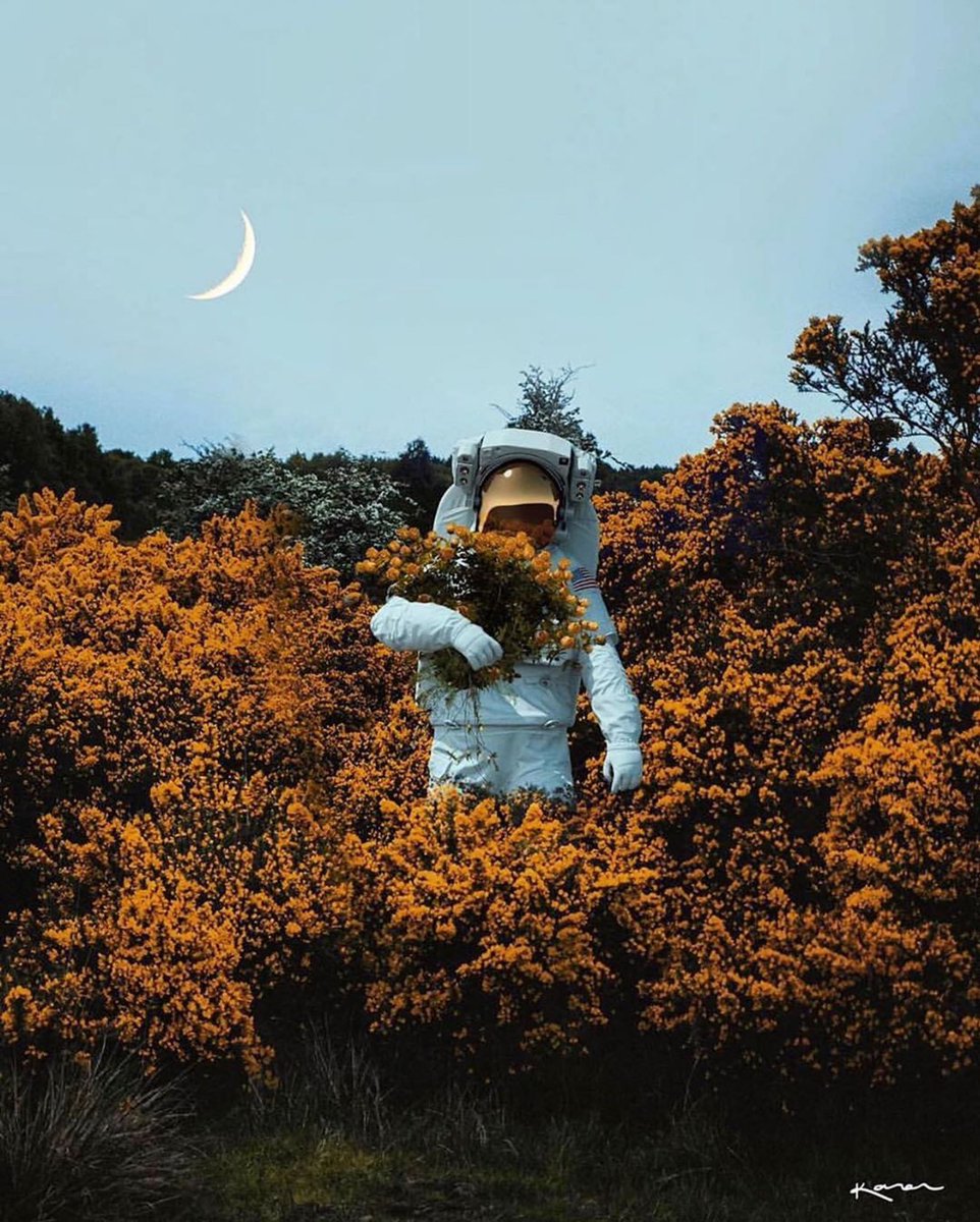 Adam__Potrykus's tweet photo. #artistdiscoveryoftheday
I told the moon about you by @karencantuq
#digitalart #holmandhimmel #minimalism #sombresociety #arts_gate #lovewatts #instaart #netart #tinycollective #visual #dailyart #launchdsigns #cinema4d #contemporaryart #artist #artwork #artistry_vision https://t.co/2CWh56dtrw