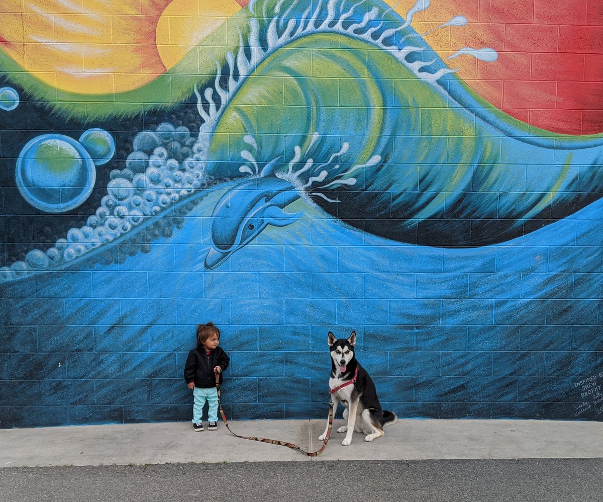 riverthepuppy's tweet photo. Hanging out with my favorite person. https://t.co/endTZc908K
