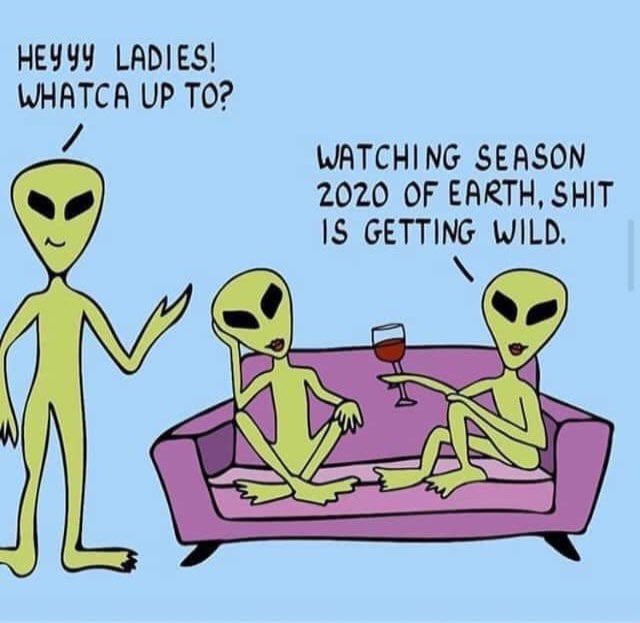 audreymeshell's tweet image. 