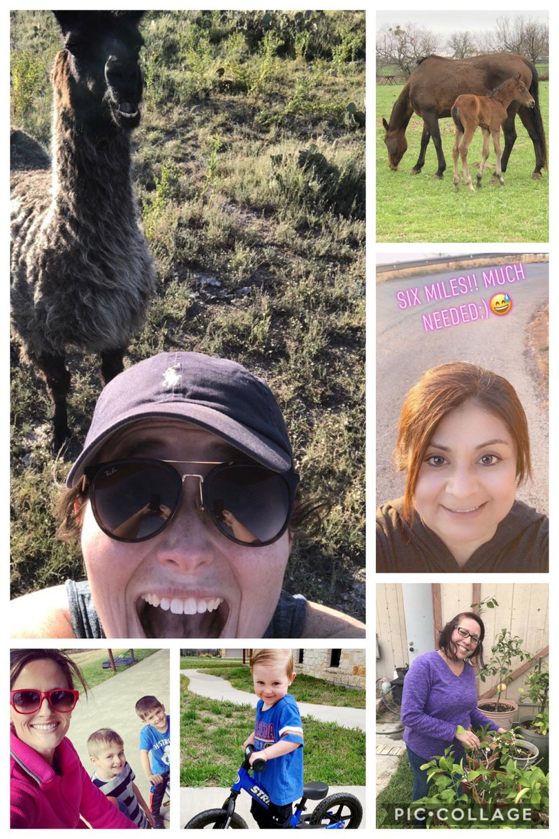 Lindsay Carr tweet media