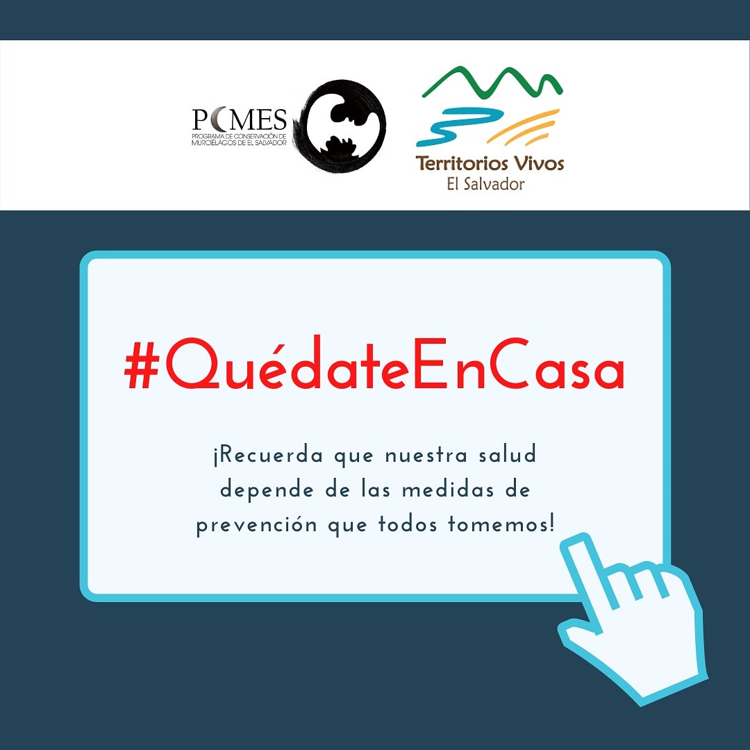 PCMElSalvador's tweet photo. #ElSalvador, en estado de prevención. 

¡Tú también puedes hacer tu parte ante la pandemia del #COVID19! 

Una recomendación del #PCMES y @Territorios_SV https://t.co/MHP2hMFwir