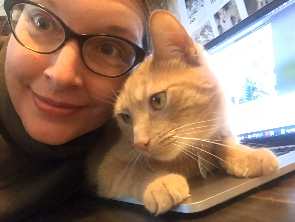 #WOSworksfromhome during today’s virtual Superintendent’s Comference Day. Stay healthy and stay home! <a href="/HeidiRHill/">Heidi Hill</a> <a href="/mccahillreading/">Lucia McCahill</a> <a href="/RobinCourtwrig1/">Robin Courtwright</a>