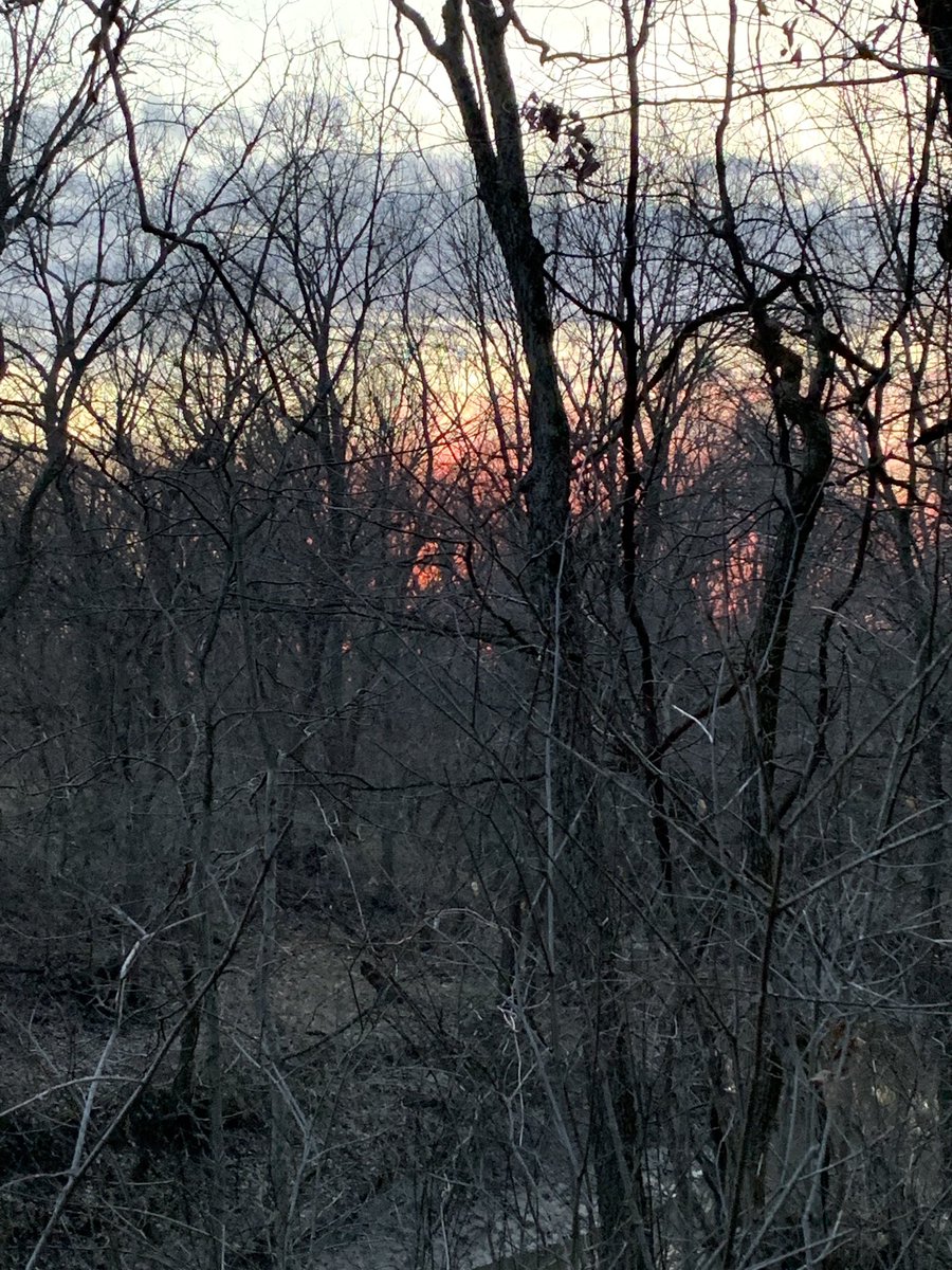 ArrowRidge2017's tweet photo. I am just going say it....this covid19 thing sucks hope everyone is staying healthy and safe “this too shall pass “

#covid19sucks #itwillgetbetter #arrowridgelife #livinginhistory https://t.co/WdbqlnbaER