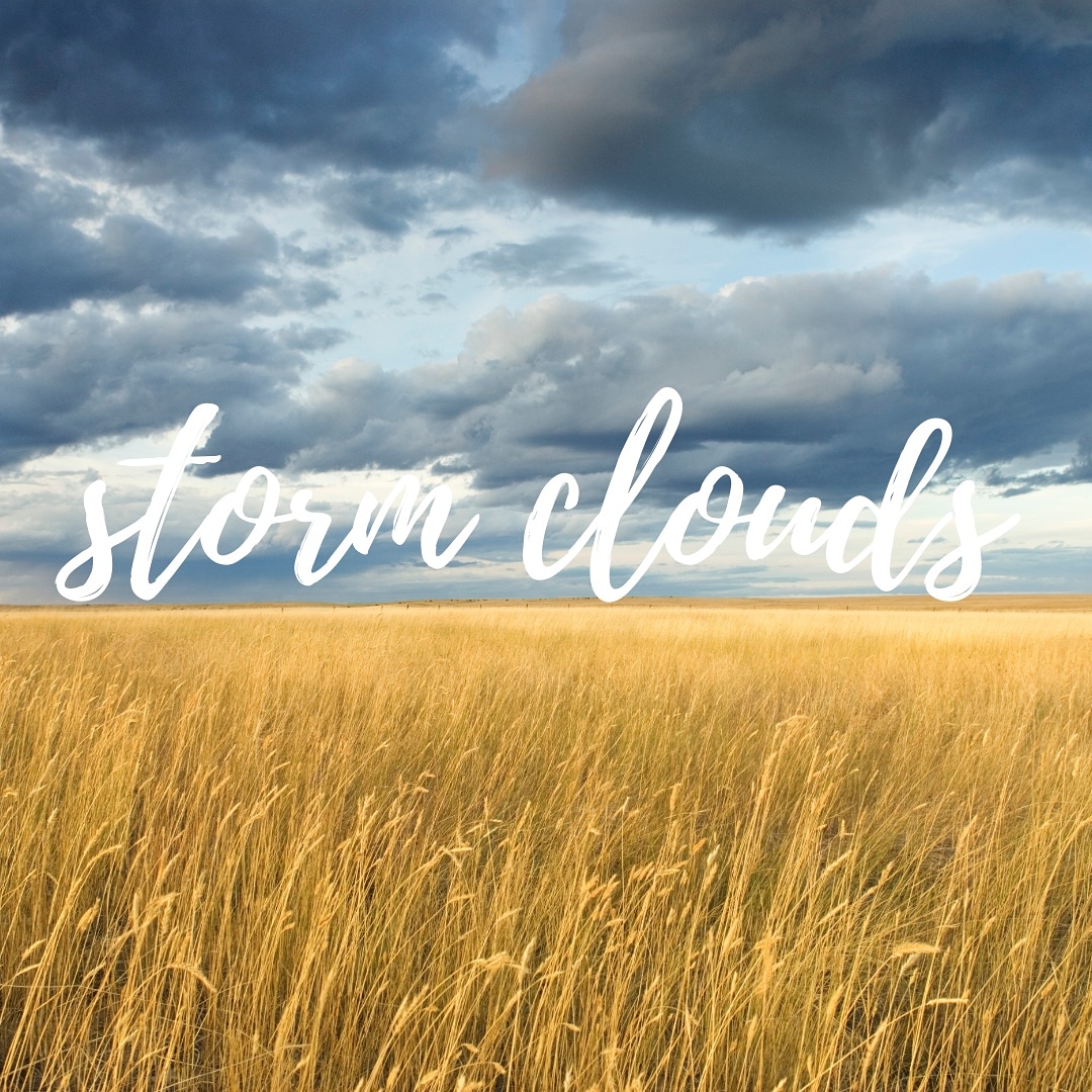 TrinitySoulard's tweet photo. As the clouds gather and the waters rise, Jesus speaks into overwhelming chaos.  Oh, to hear the voice of God breathing stillness not only to wind and wave, but into the spasmed lungs of worried disciples.
Sunday's sermon.
https://t.co/86RWou3UKh https://t.co/24DvmNVHLk
