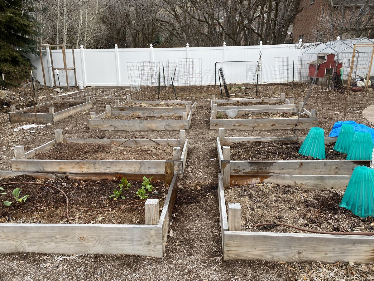 Home garden box watch: day 1