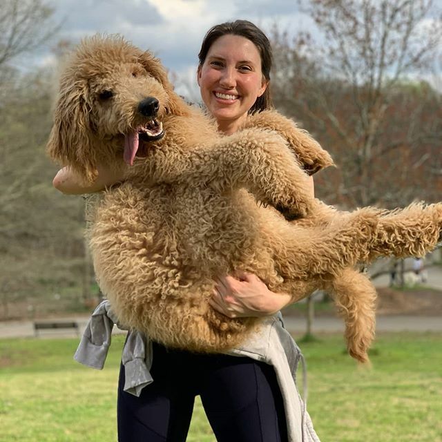 When your pup knows nothing about social distancing . 📷: @sonnybone.o_thedoodle . . #piedmontpark #dogsofpiedmont #atlantadogs #atldogs #midtownatl #parks #dogsofinstagram #Dog #Puppy #Dogs #Pet #InstaDog #Dogstagram #Petstagram #DogLover #DogOfTheDa… ift.tt/2Wim8dL